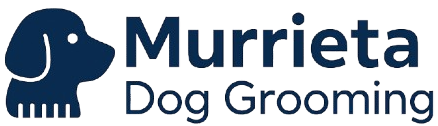 logo of the website