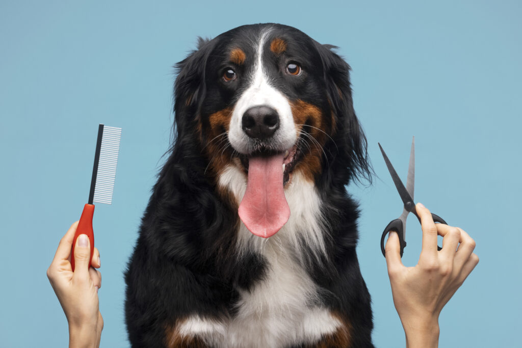 Image of a grooming dog